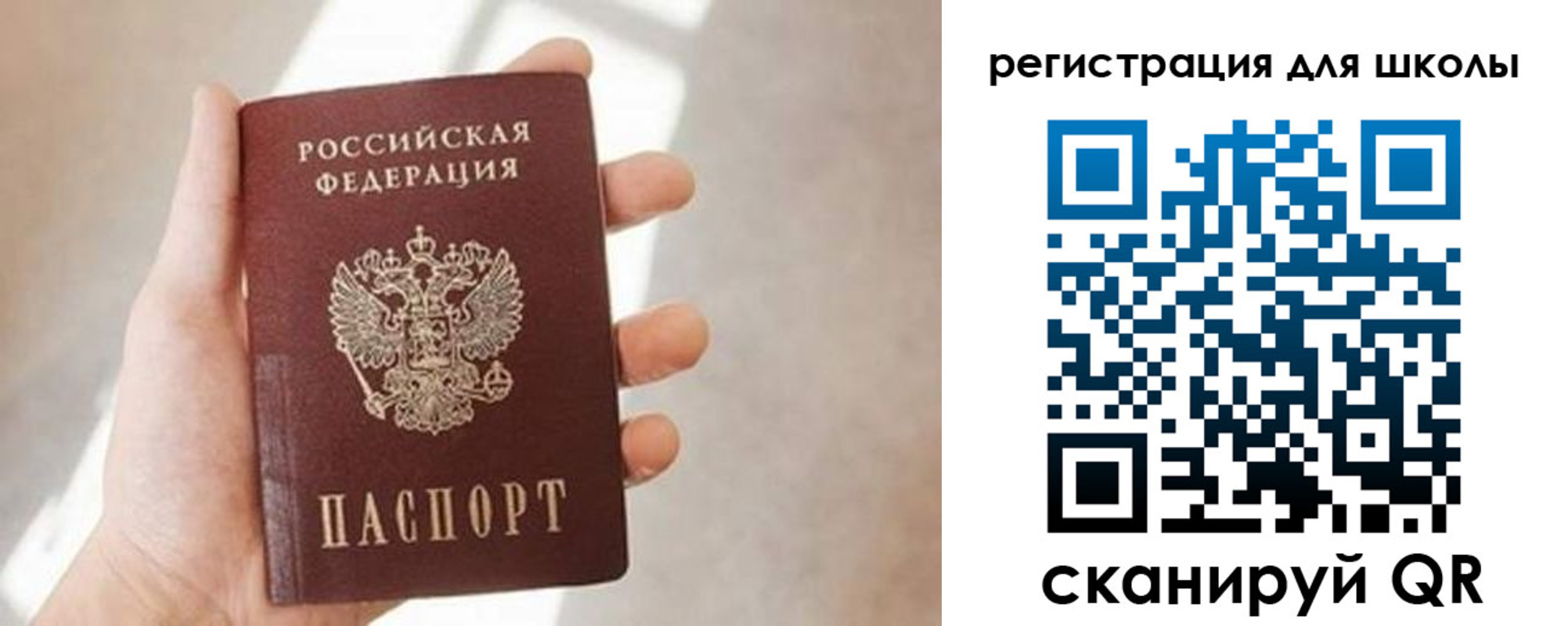 найти адрес прописки в Александрове